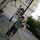 basilicus