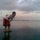 wardani ahmad