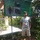 anjar