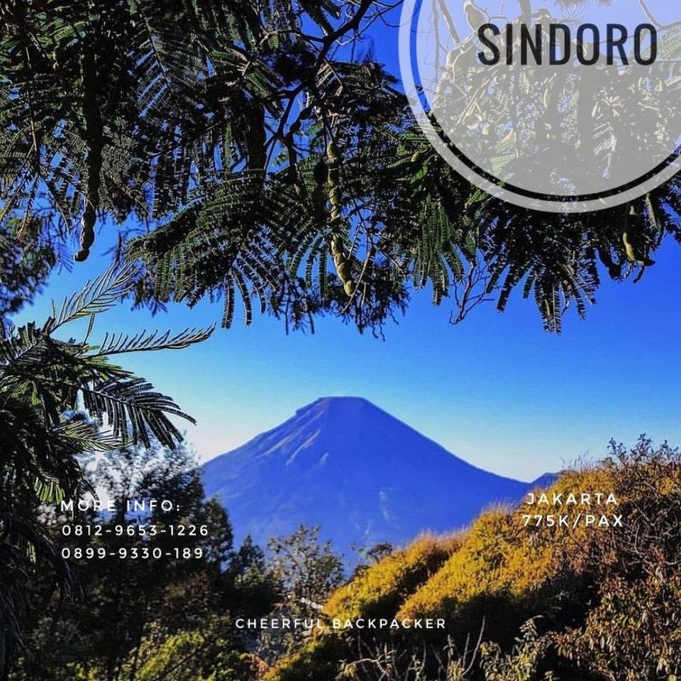 OPEN TRIP GUNUNG SINDORO via ALANG-ALANG SEWU