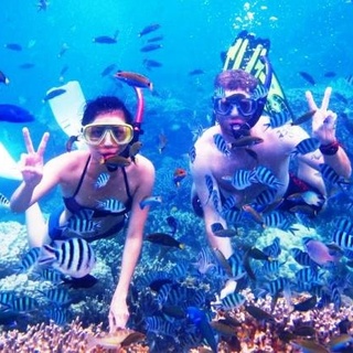 Open Trip Karimun Jawa