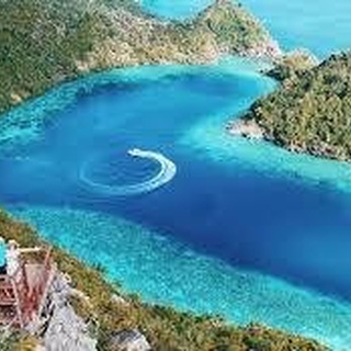 CARI TEMEN PATUNGAN EXPLORE MISOOL RAJA AMPAT 14-19 OKTOBER 2021 (6D5N)
