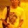 IrwanHermawan
