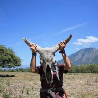 Indahnya Africa Van Java (TN. BALURAN)