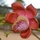 thinhduy.quach