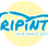 Tripinto