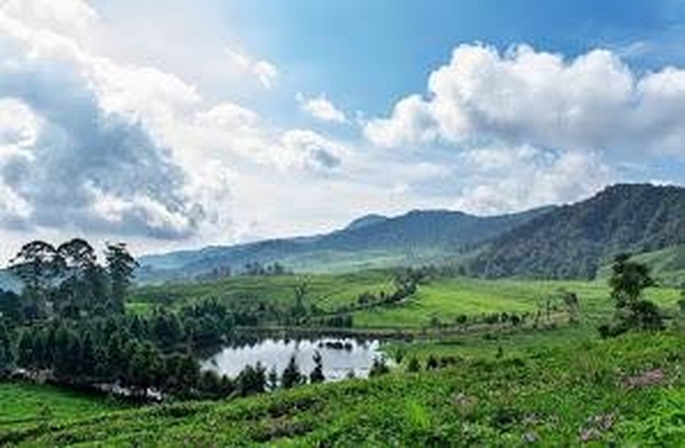 [DONE] Traveling bareng ke telaga saat puncak, bogor + kebun teh sekitarnya