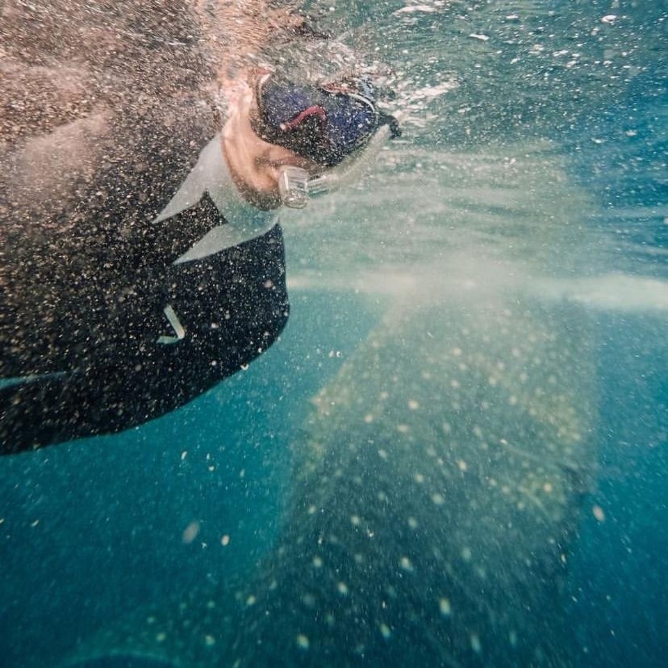 Explore lombok, NONTON MOTOGP & SNORKELING HIU DI SUMBAWA