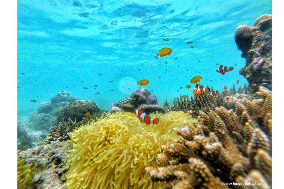 SNORKELING IN GILI KETAPANG ISLAND