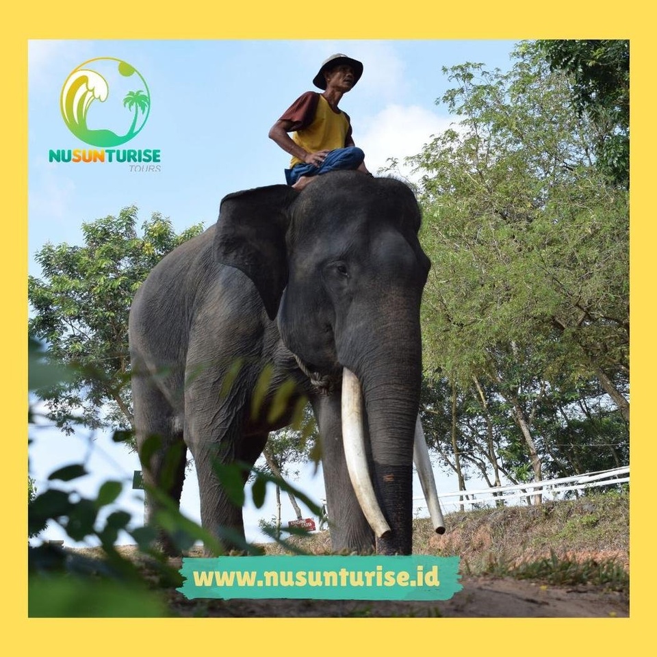OPEN TRIP WAY KAMBAS | 6-7 JUN | 18-19 JUL | 16-17 AGUST