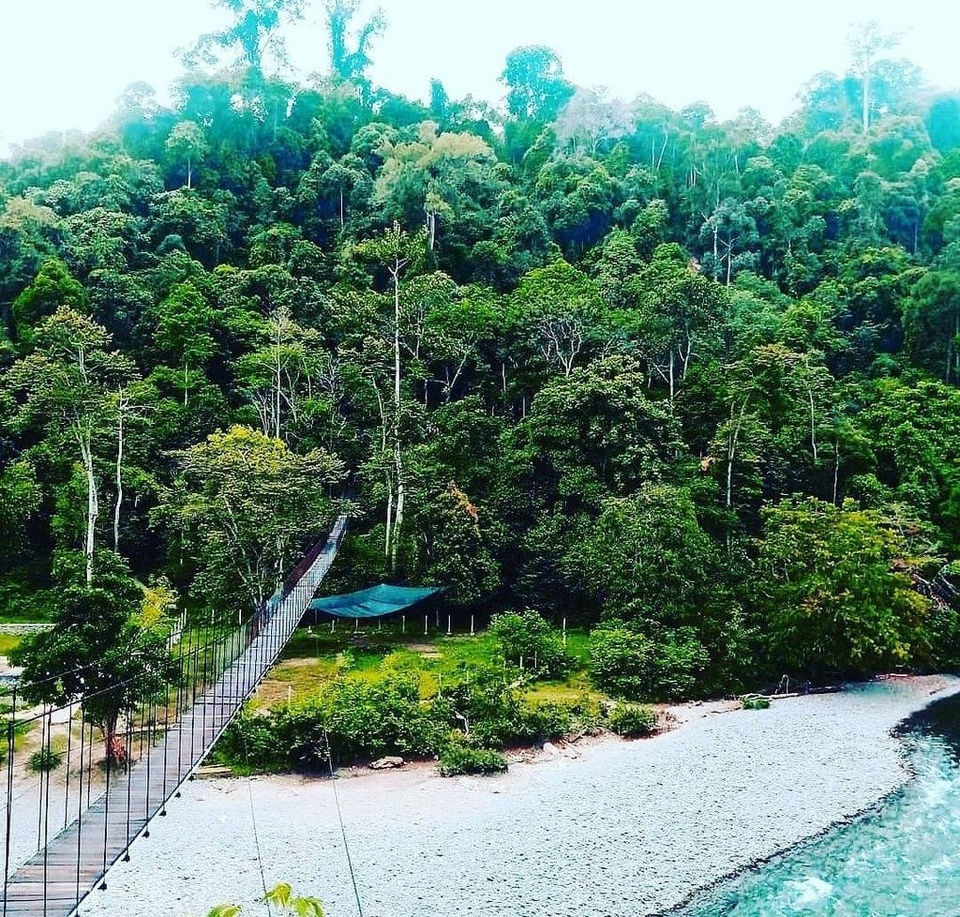 Cari teman jalan ke Tangkahan, Sumatera Utara