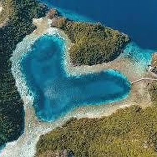 CARI TEMEN EXPLORE MISOOL RAJA AMPAT, 14-16 OKTOBER 2021 (6H5M)