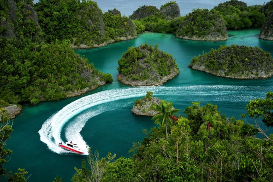 CARI TEMEN PATUNGAN EXPLORE MISOOL RAJA AMPAT 14-19 OKTOBER 2021 (6D5N)