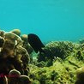 Jelajah 7 pulau