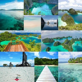 CARI TEMAN SHARE COST KE RAJA AMPAT + MISOOL 8-15 APRIL 2019