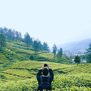 [DONE] Traveling bareng ke telaga saat puncak, bogor + kebun teh sekitarnya