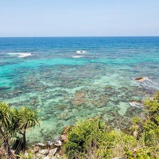 Cari teman traveler ke Karimun Jawa 21 - 23 Juli 2023