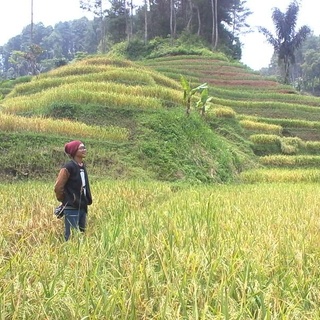 curug malela...( info aja )