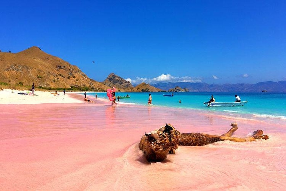 (SHARECOST TRIP) EXPLORE LABUAN BAJO WITH PHINISI MEI 2021