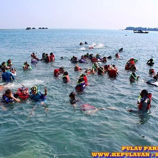 Pulau Pari Wisata Pantai Pasir Perawan Yang Cukup Terkenal Di Kepulauan Seribu Jakarta