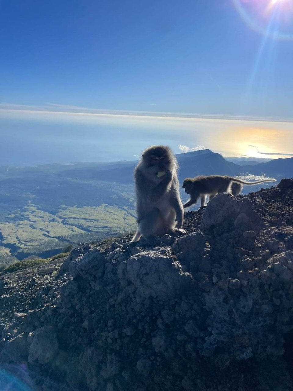 Paket Mendaki ke Gunung Rinjani 2026