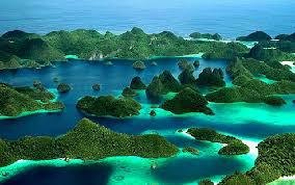 SHARECOST TRIP CARI TEMEN EXPLORE MISOOL RAJA AMPAT, 14-19 OKTOBER 2021 (6H5M)