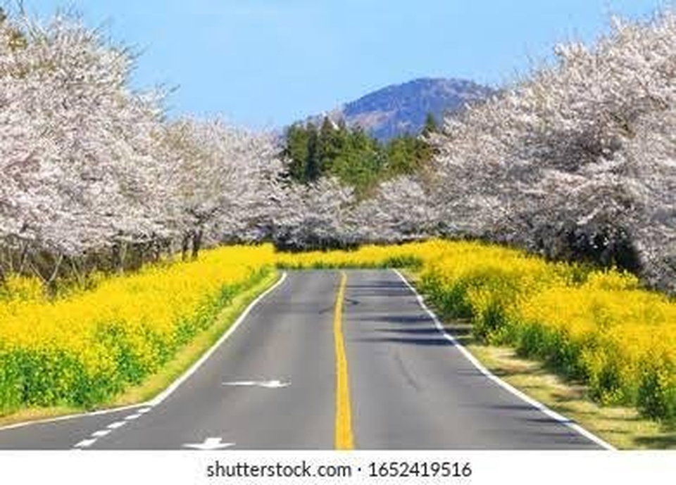 Korea Selatan 17-27 Maret 2023