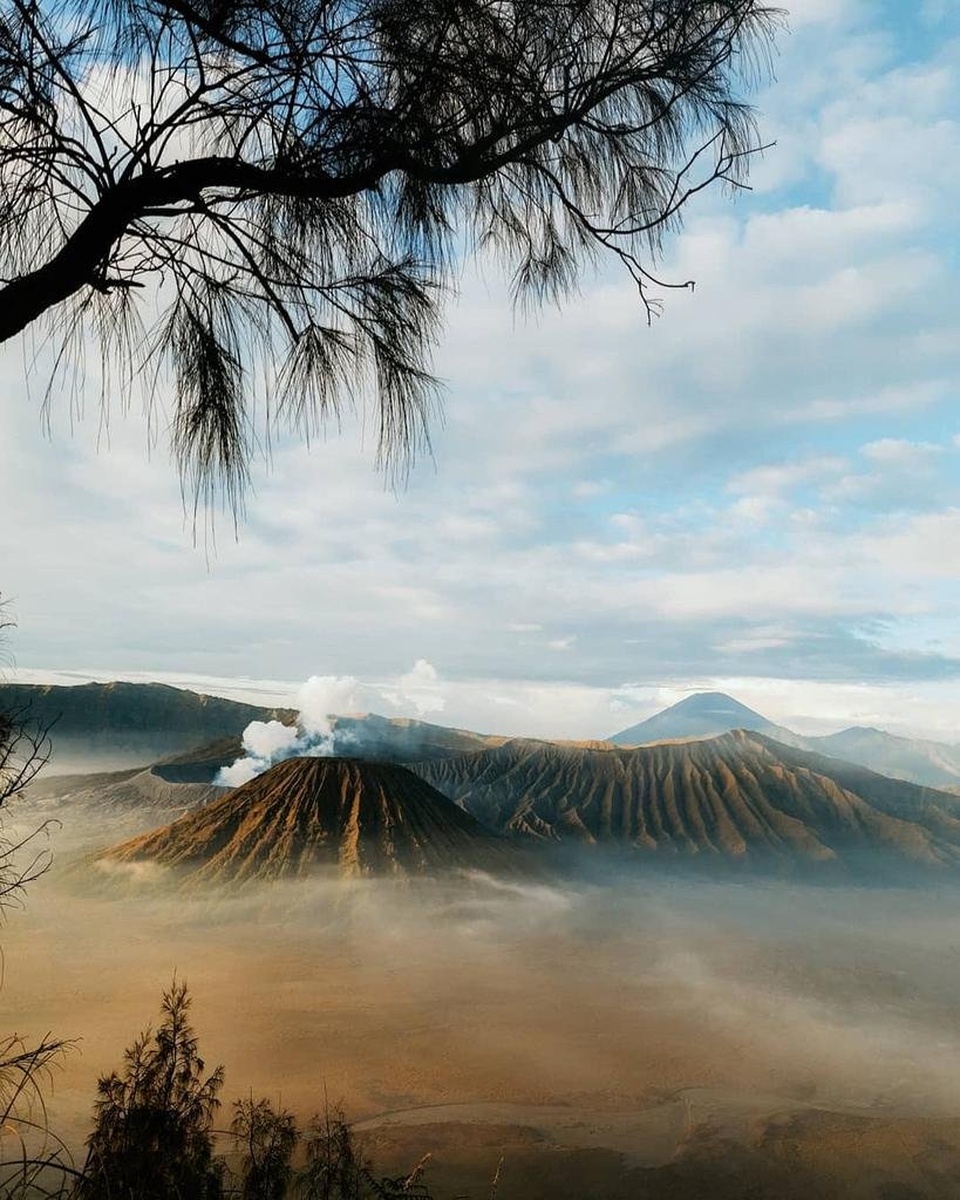 Sewa jeep bromo dari pasuruan