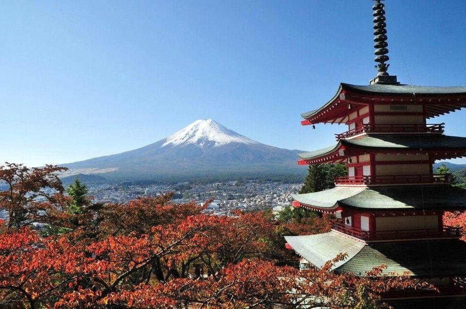 Ayo trip bareng ke Jepang bulan Maret 2023 (CLOSED)