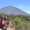 Lukman_BPI