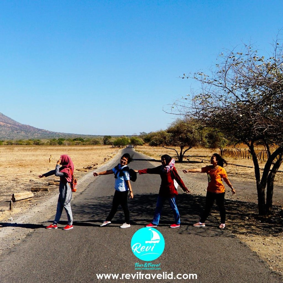 OPEN TRIP / PAKET WISATA / GATHERING MENJANGAN IJEN BALURAN