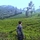 @ardiansyah