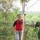 danang_91