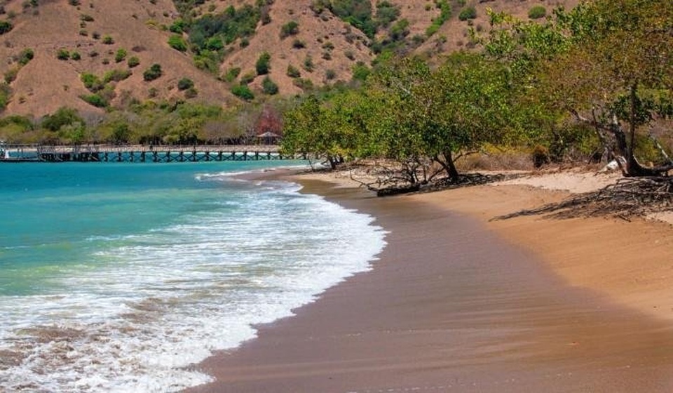 Paket Tour Komodo using Speedboat One Day Trip (2023)