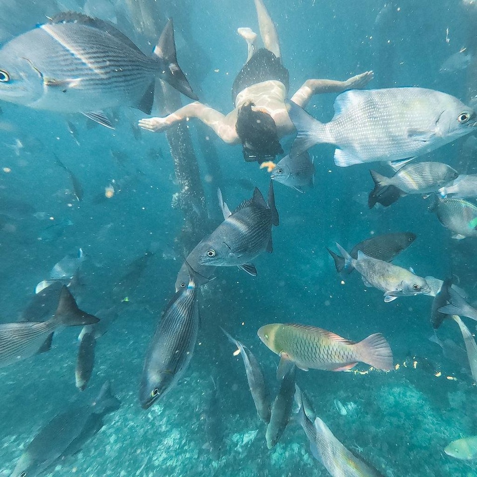 Paket Wisata Raja Ampat Open Trip 4D3N