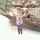 ipot