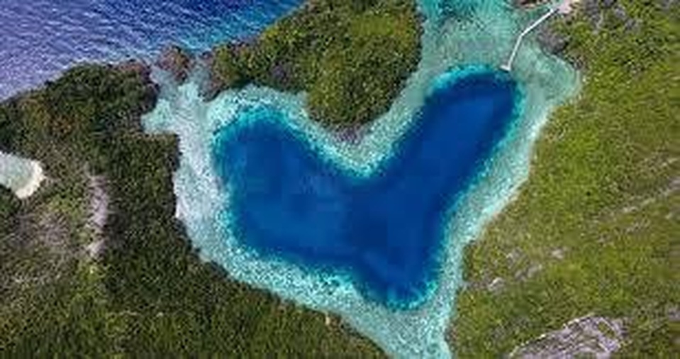 CARI TEMEN EXPLORE MISOOL RAJA AMPAT, 14-19 OKTOBER 2021 (6H5M)