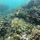 pulaupahawang.com