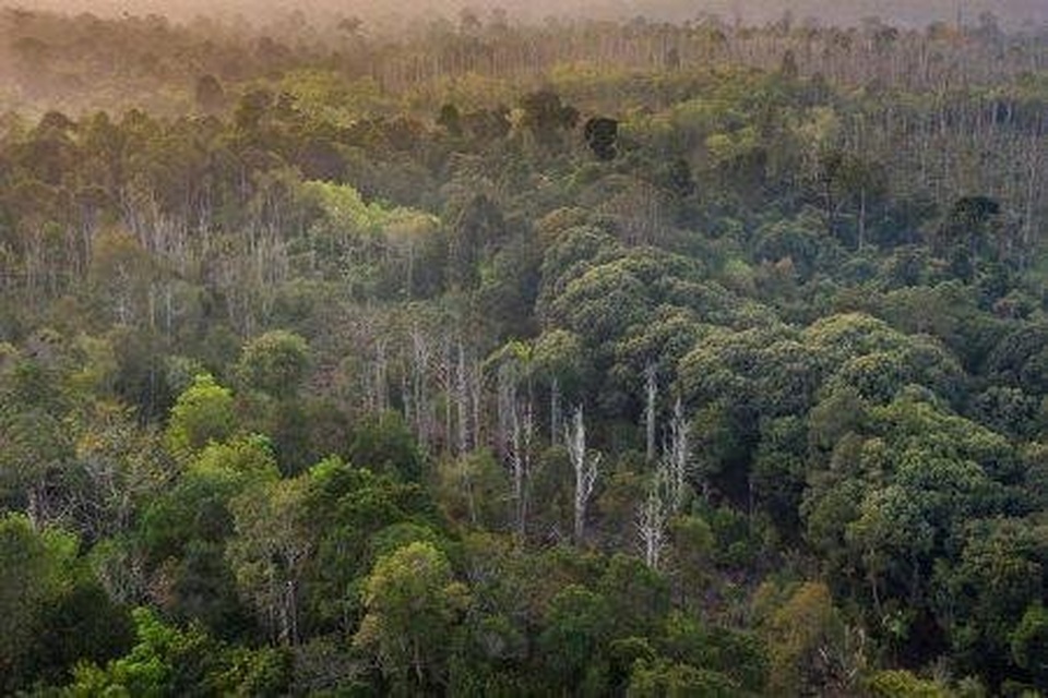 Paket Private Tour Kalimantan 4D3N : Kutai National Park