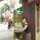 evi_r