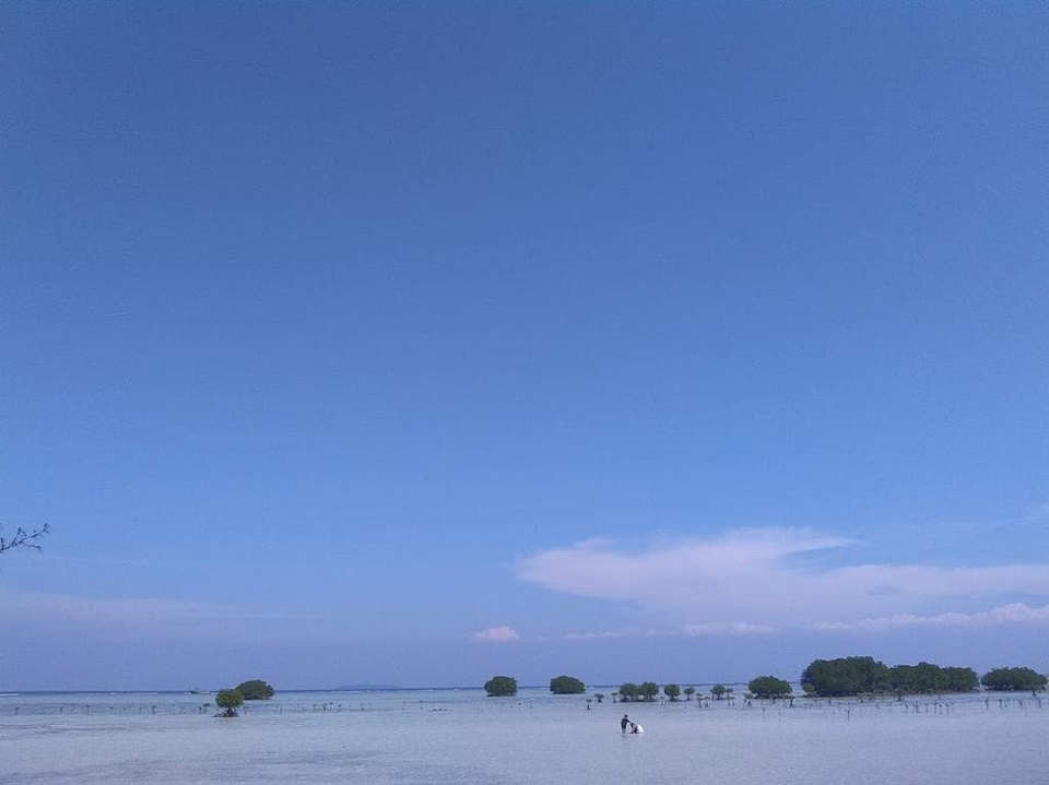 Pulau Pari share cost