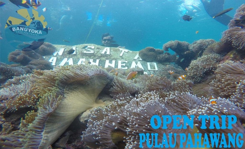 Open Trip Pahawang 1 Hari 2019