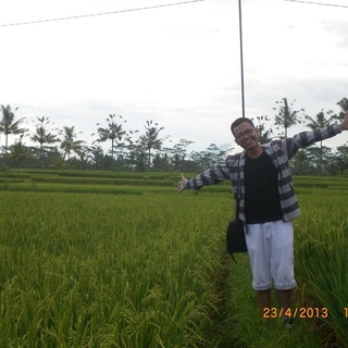 depan istana tampak siring