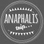 anaphalistrip