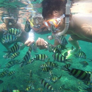 Pulau Pari Open Open Trip 2H1M. IDR 349.999 ( Free Banana Boat )
