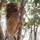 guidebelitung