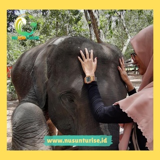 OPEN TRIP WAY KAMBAS | 6-7 JUN | 18-19 JUL | 16-17 AGUST