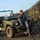 yudie_ beetle