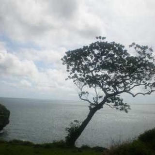 Catatan Perjalanan Pantai Tebing-Putih