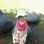 joice_81